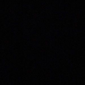 Meet your Posher, Toni